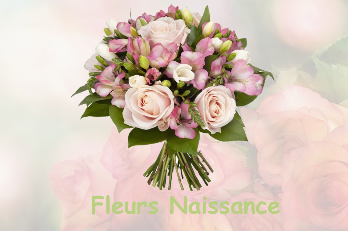 fleurs naissance THERVAY