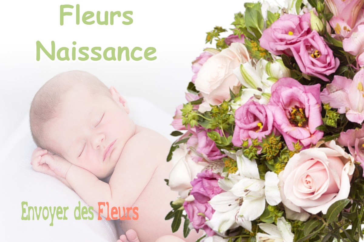 lIVRAISON FLEURS NAISSANCE à THERVAY